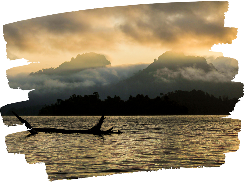 Cheowlan Lake & Khaosok 3 days 2 nights